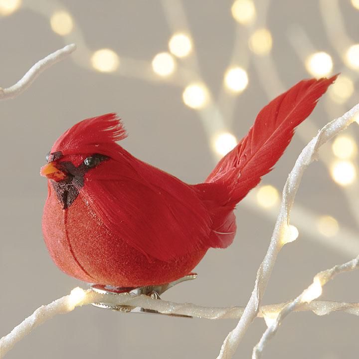 Cardinal christmas tree red ornament bird